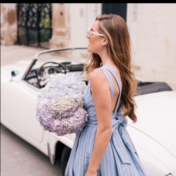 𝅺Gal Meets Glam Samantha Fit and Flare Dress - Picture 4 of 17